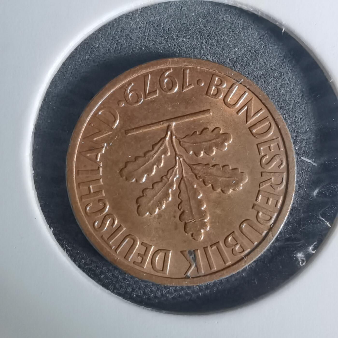 沼泽如烟--第940场