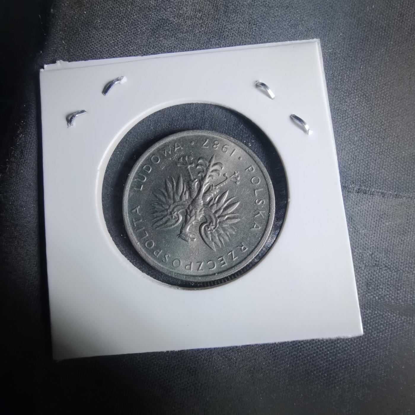 沼泽如烟--第940场