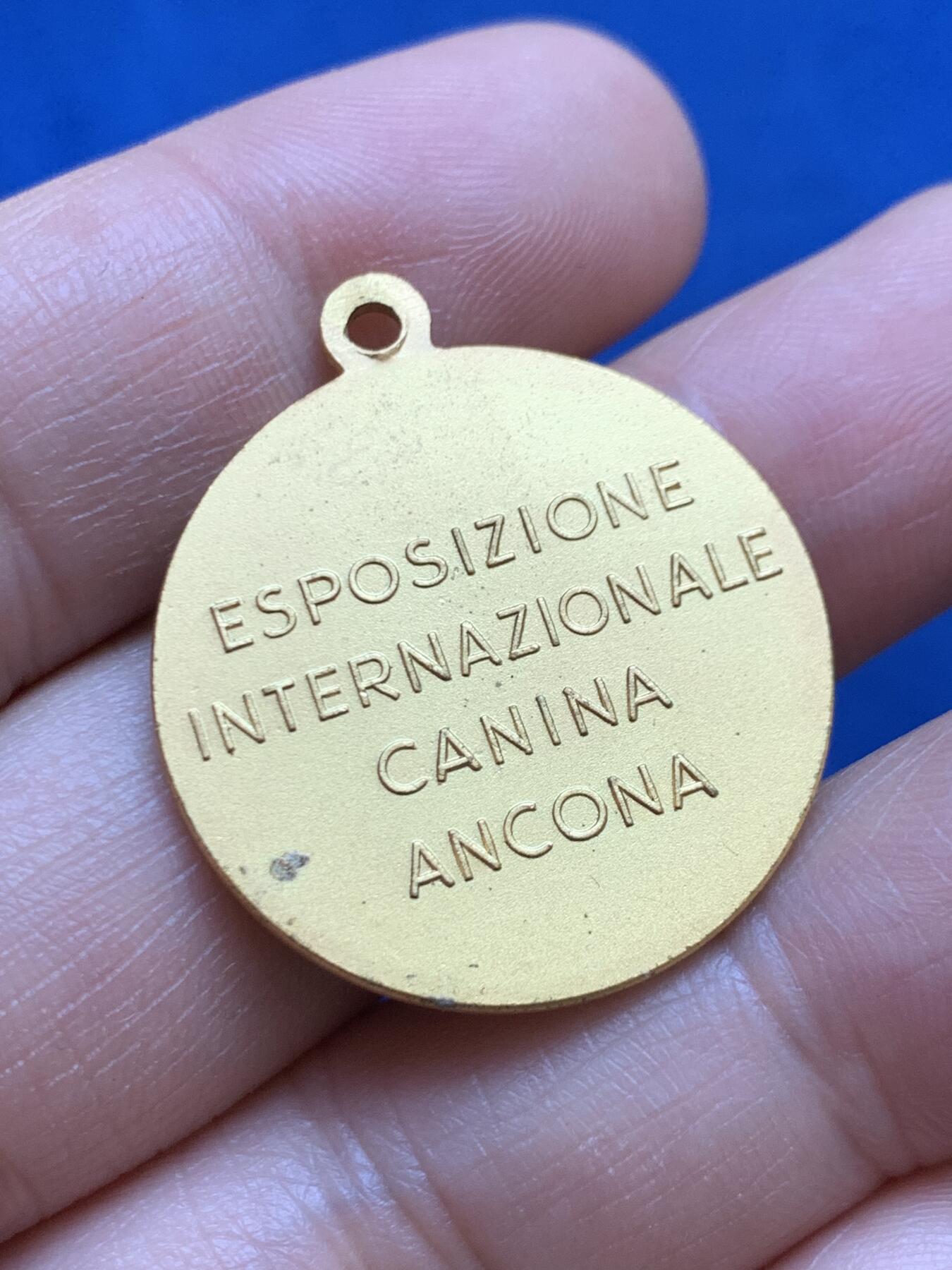 《竞宝斋》第449场 周日，周一，周二  3场连拍 （全场包邮，欢迎送拍）