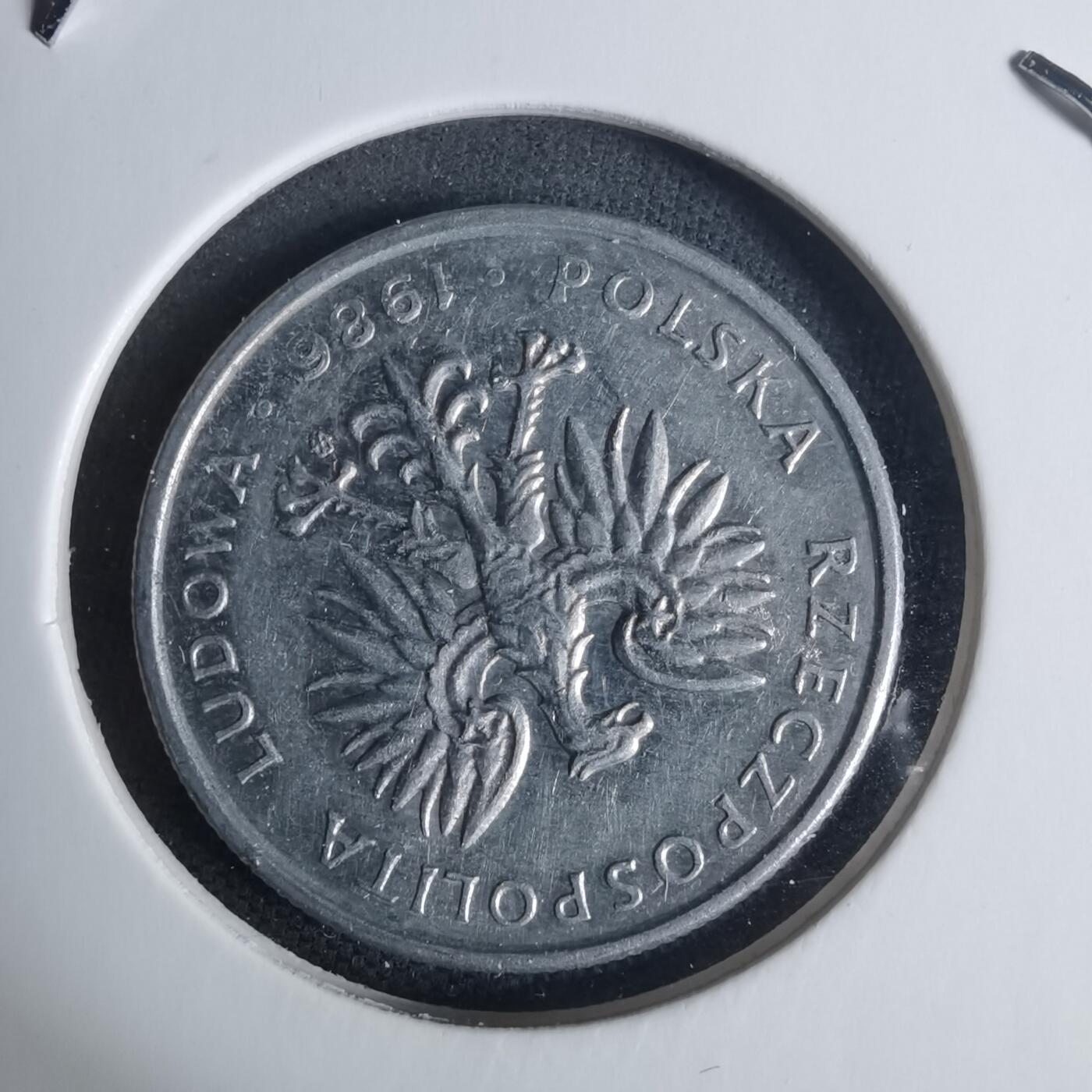 沼泽如烟--第940场