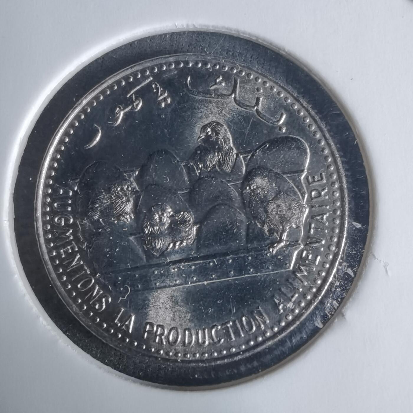 沼泽如烟--第940场