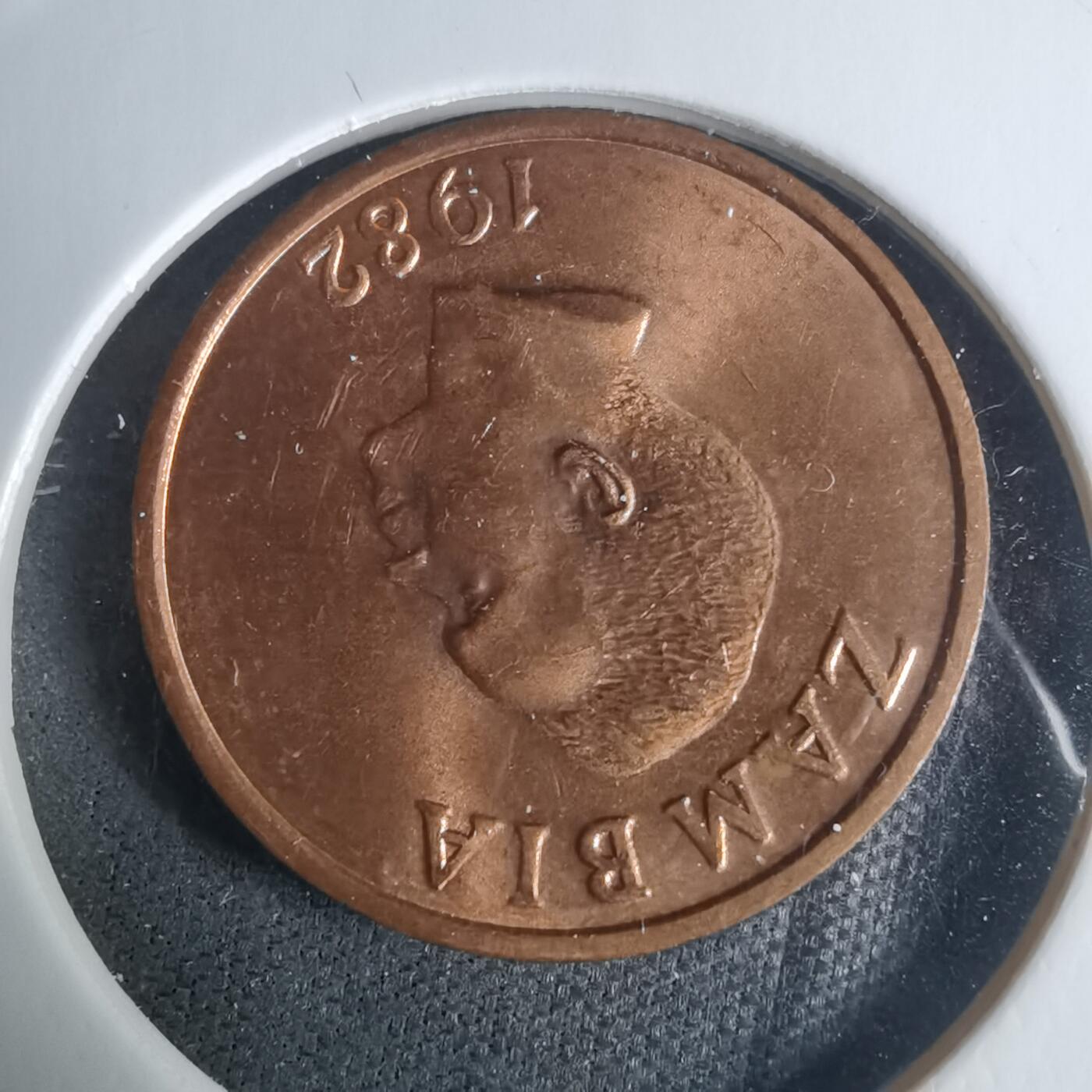 沼泽如烟--第940场