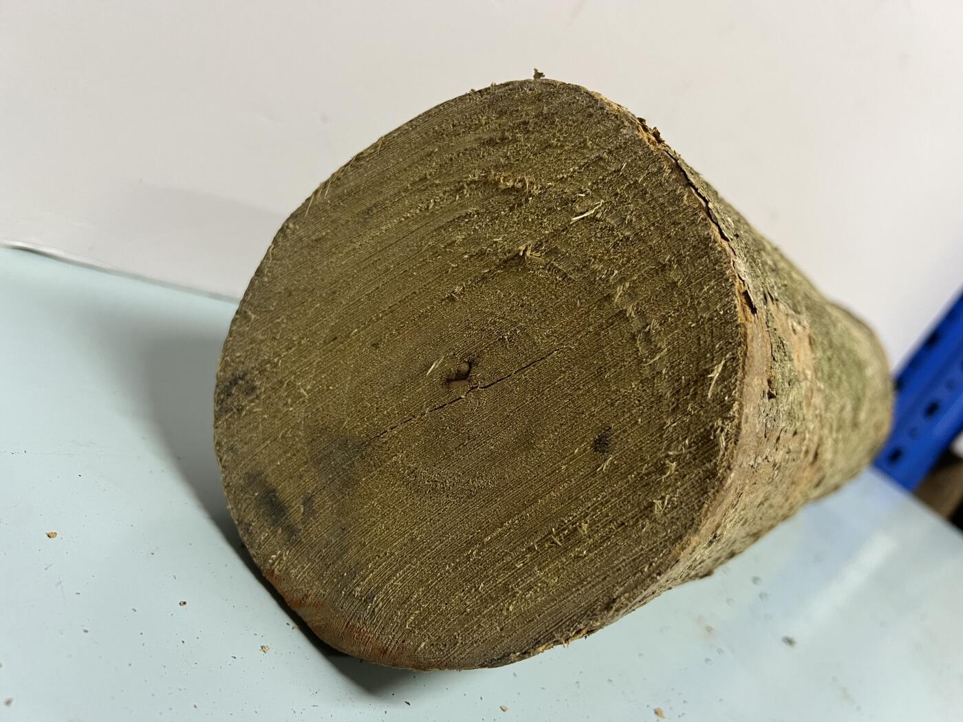 零元拍： 1220-2 金丝楠 原木 风水柱 横财（材）带皮， 尺寸：56/12.5/CM。抛光后金灿灿满香。最后一图为成品效果。。抛光后金灿灿满香。最后一图为成品效果。如果带点瘤，意味着花纹更漂亮。抛光后金灿灿满香。最后一图为成品效果。