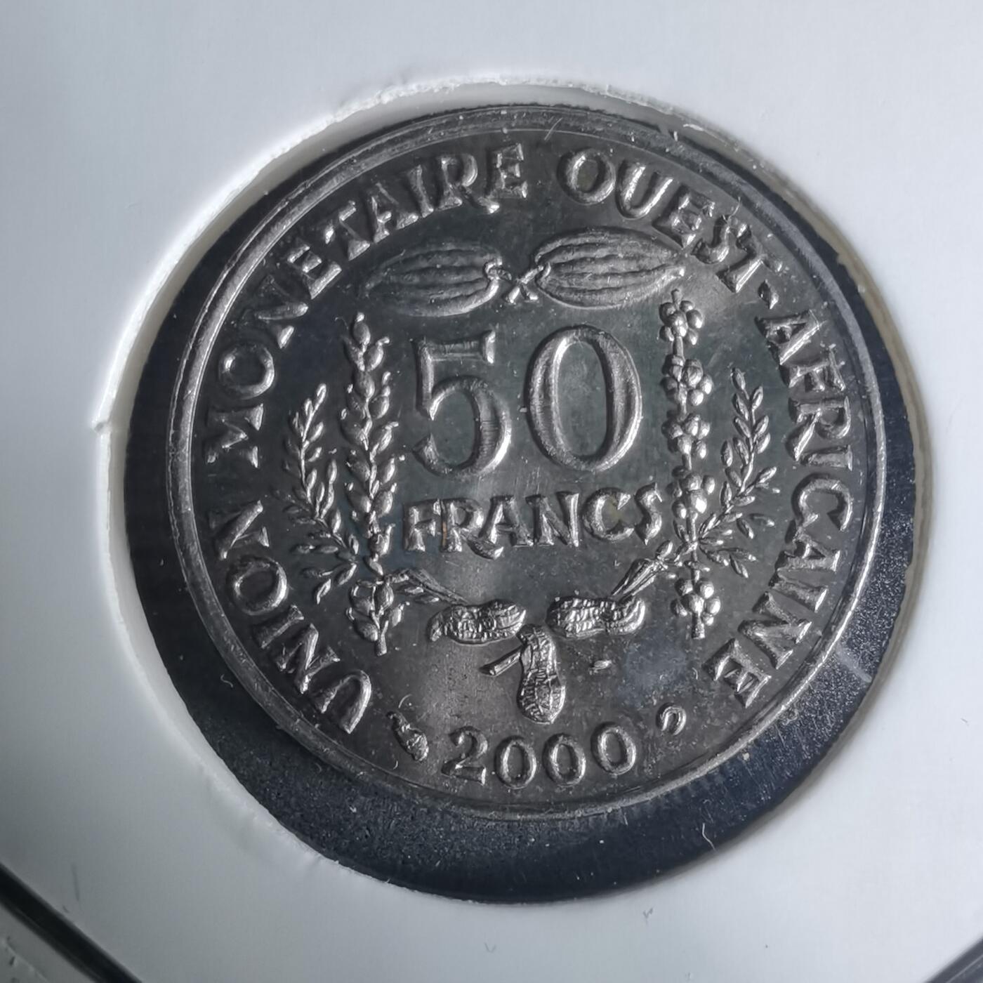 沼泽如烟--第940场