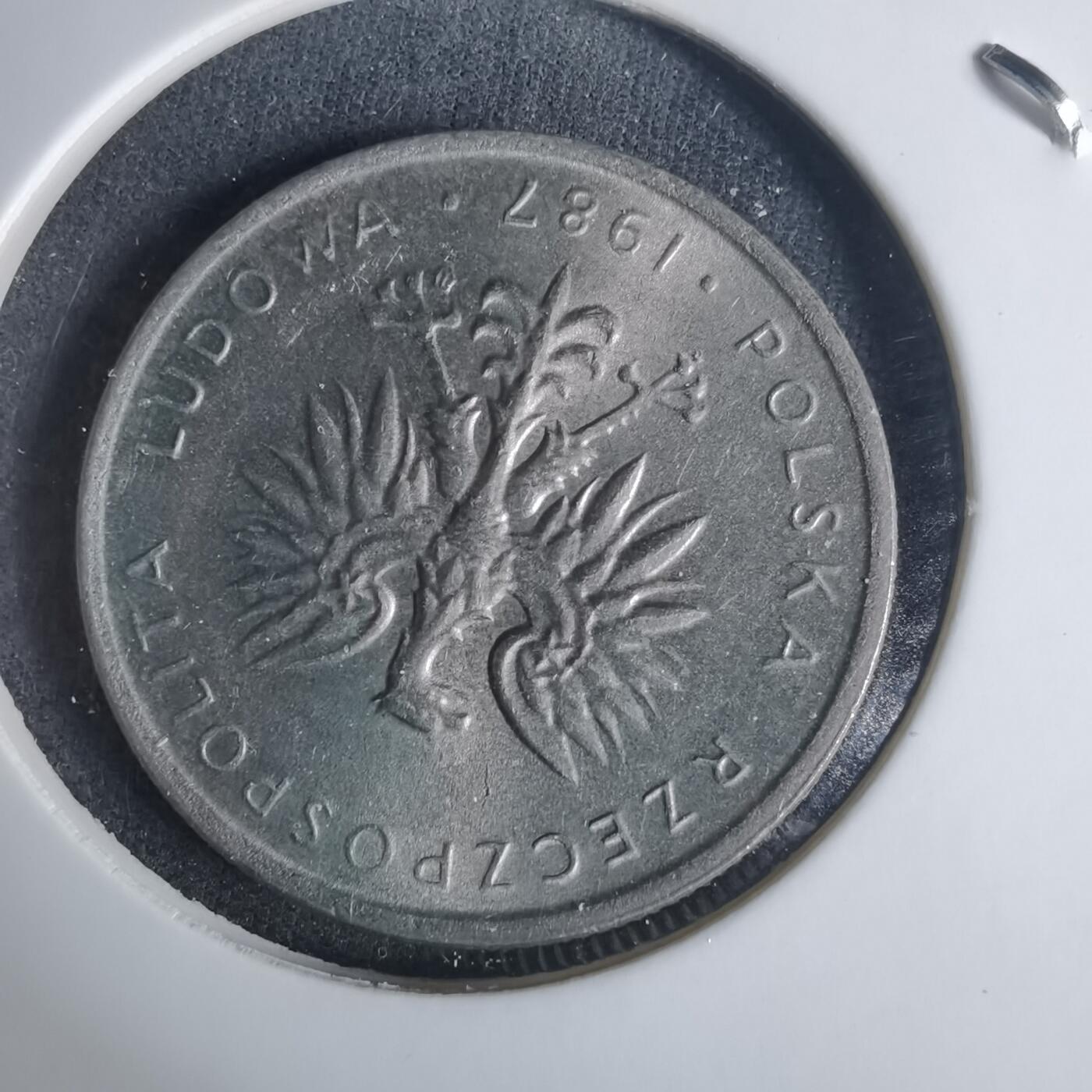 沼泽如烟--第940场