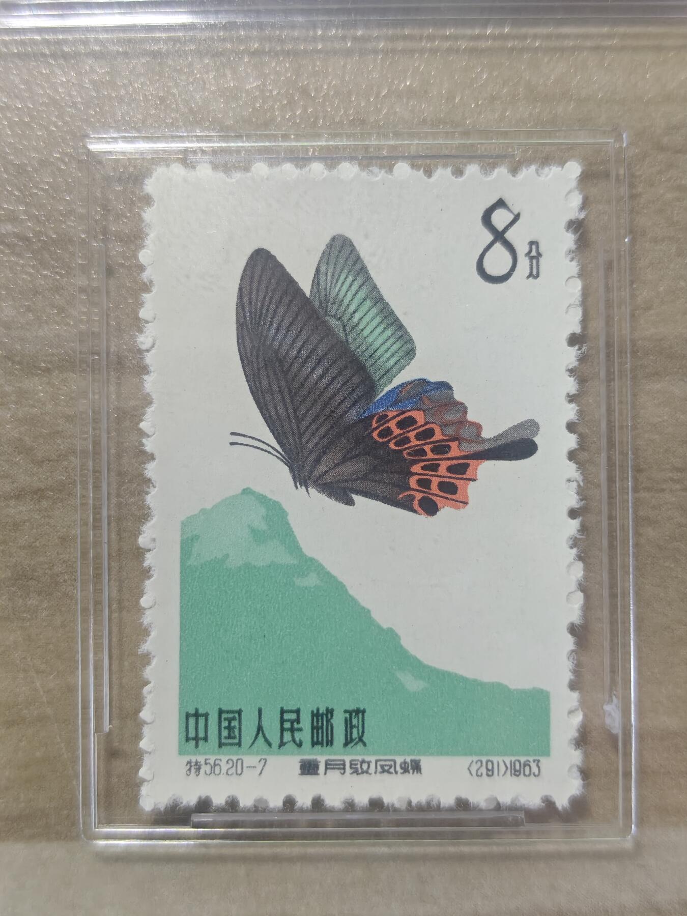 特56蝴蝶20-7一枚，ASG80分OP，版撕全品送评，无折无黄，六珍蝴蝶经典小票非常漂亮，每一枚都是经典，都值得欣赏把玩，超高性价比喜欢不要错过