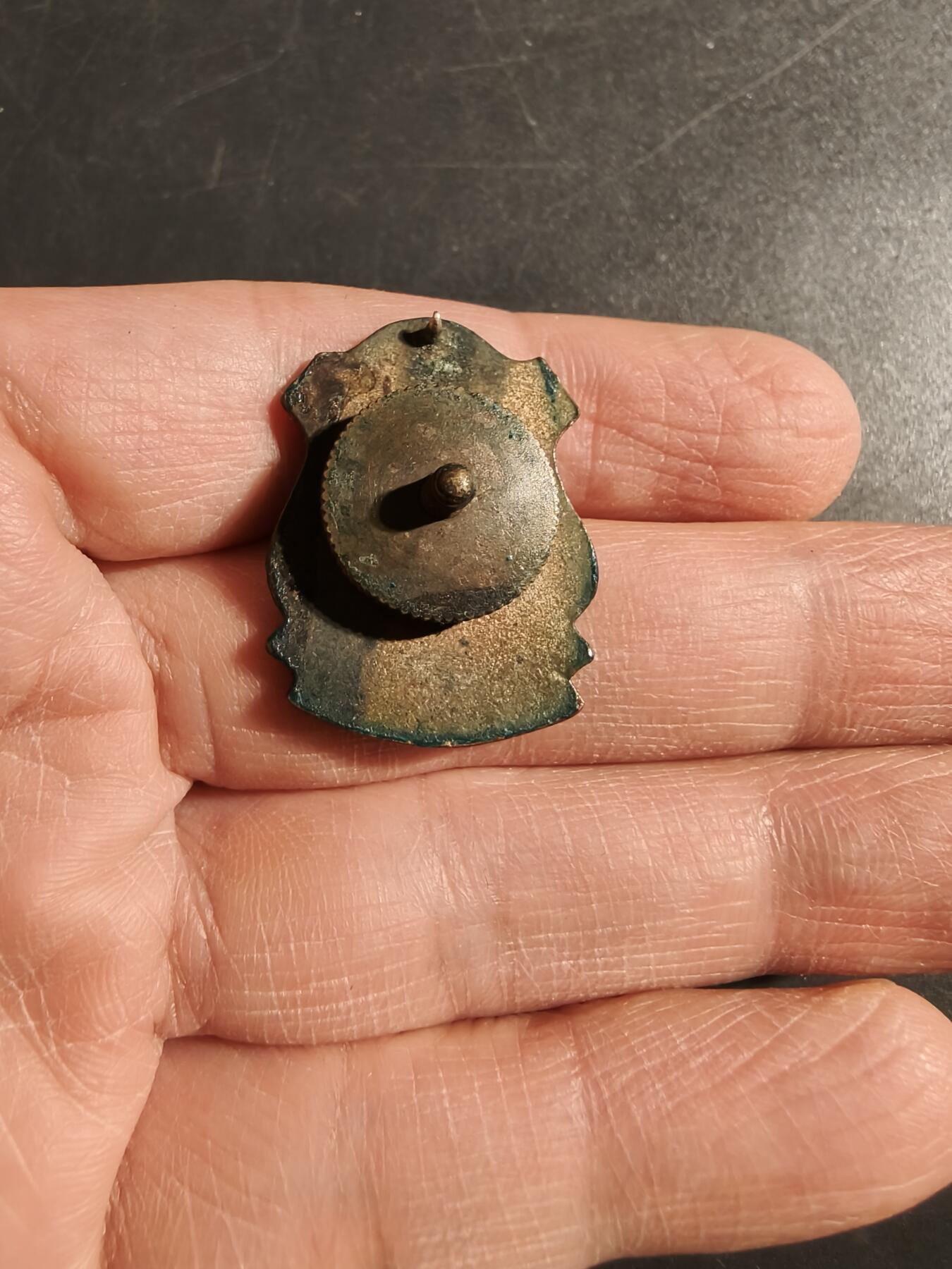 老王徽章第171期