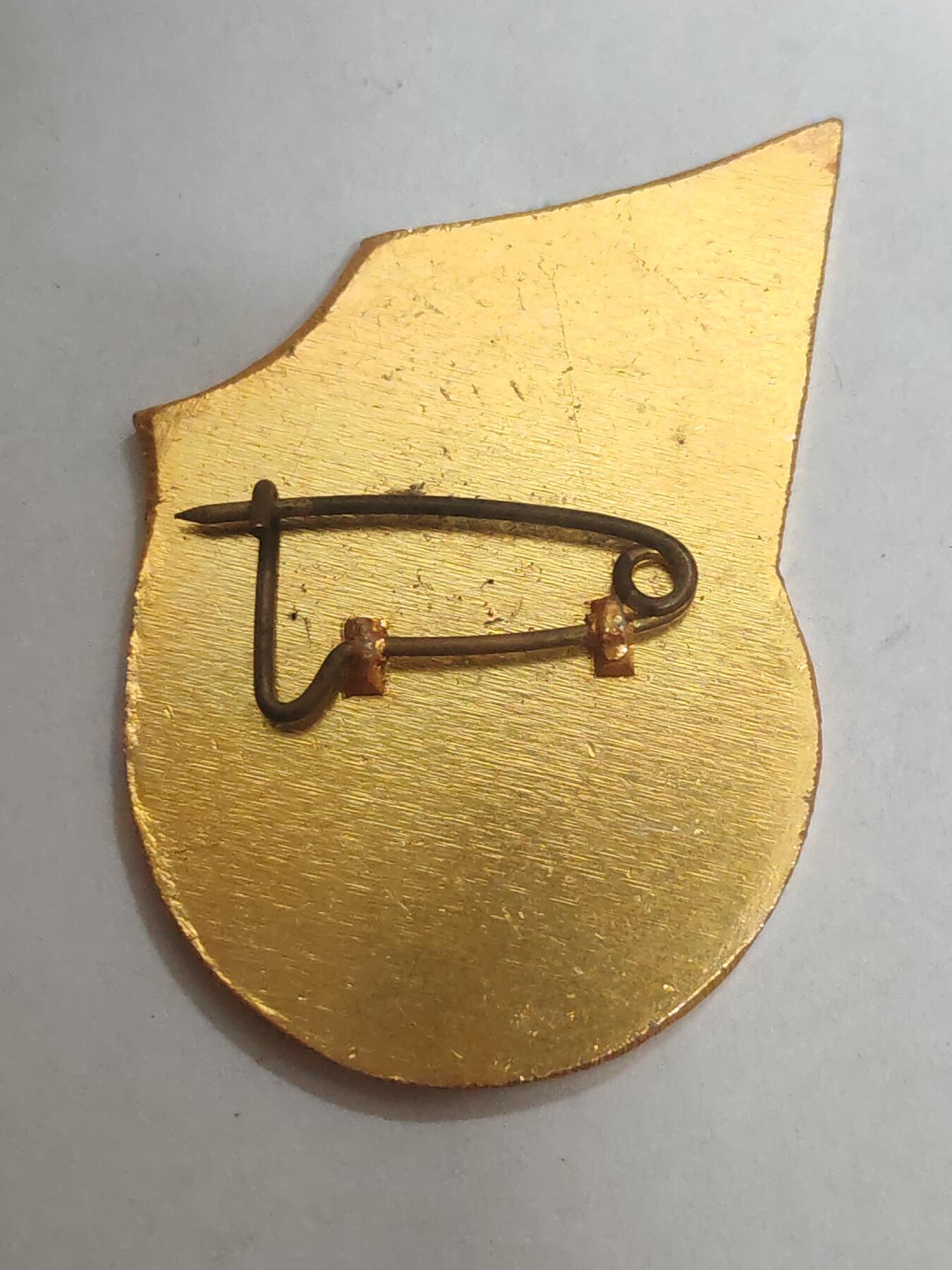 韵星假日拍卖第三十三期 -- Rimey Holidays Auction 33 越南社会主义共和国化学防卫兵40年荣誉证章 非常少见的军种