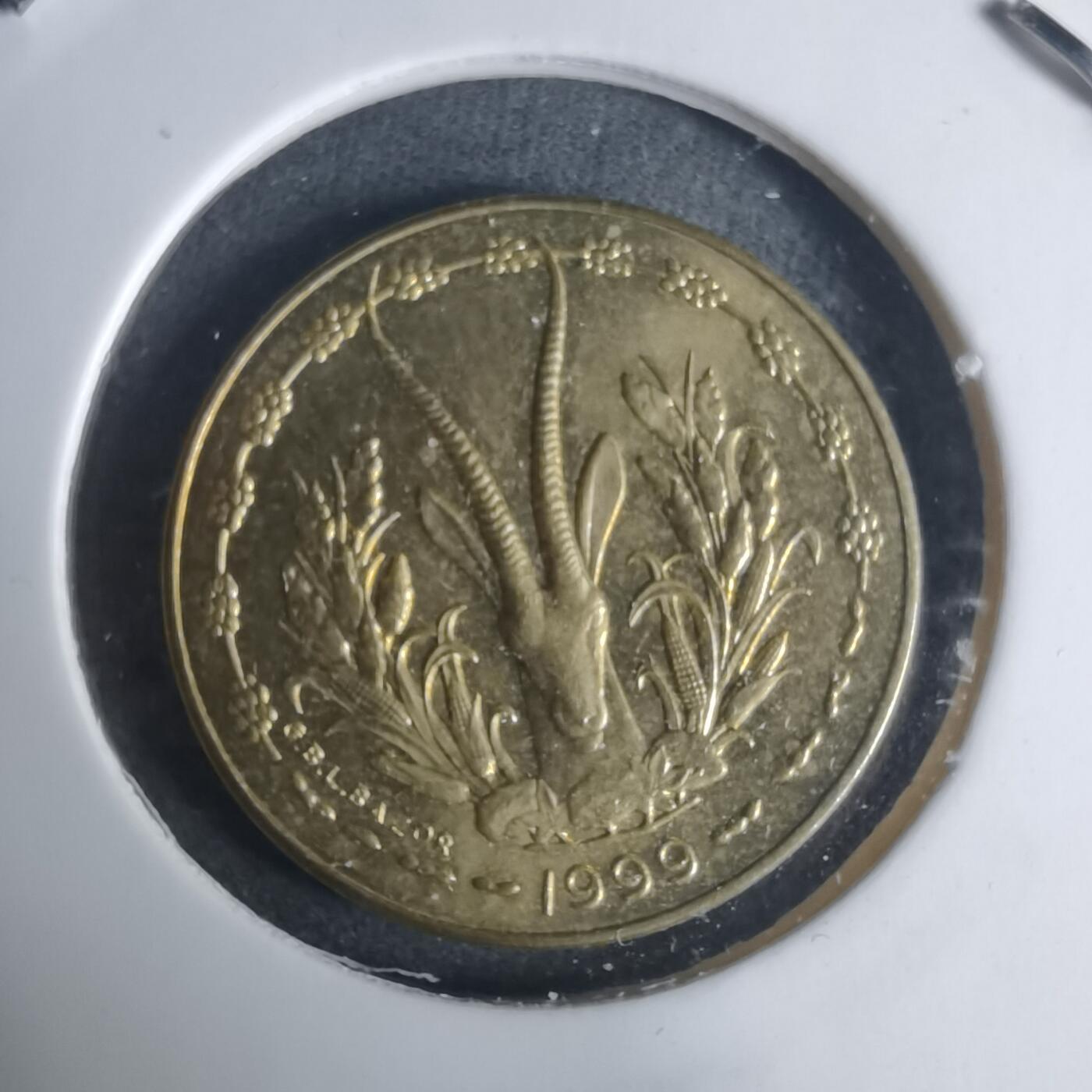 沼泽如烟--第940场