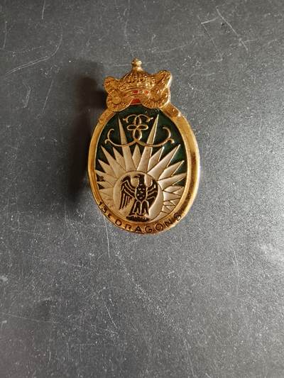 老王徽章第171期 - 法国第13龙骑兵团证章