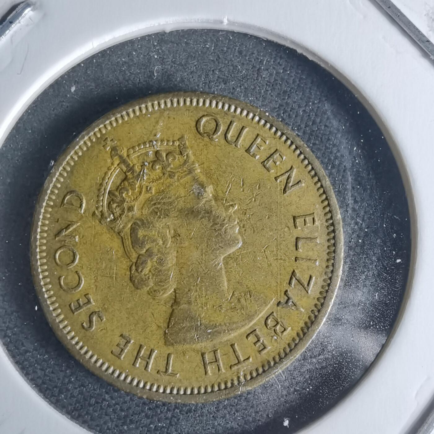 沼泽如烟--第942场