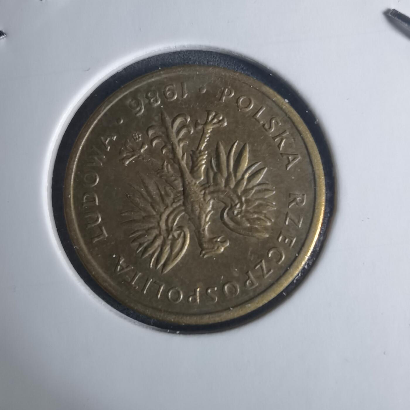 沼泽如烟--第940场 波兰1986年2兹罗提