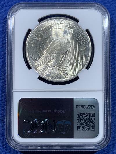 《竞宝斋》第449场 周日，周一，周二  3场连拍 （全场包邮，欢迎送拍） NGC MS64 美国1922年和平银币，丝滑底板，霜感十足，罕见淡包浆，值得入藏