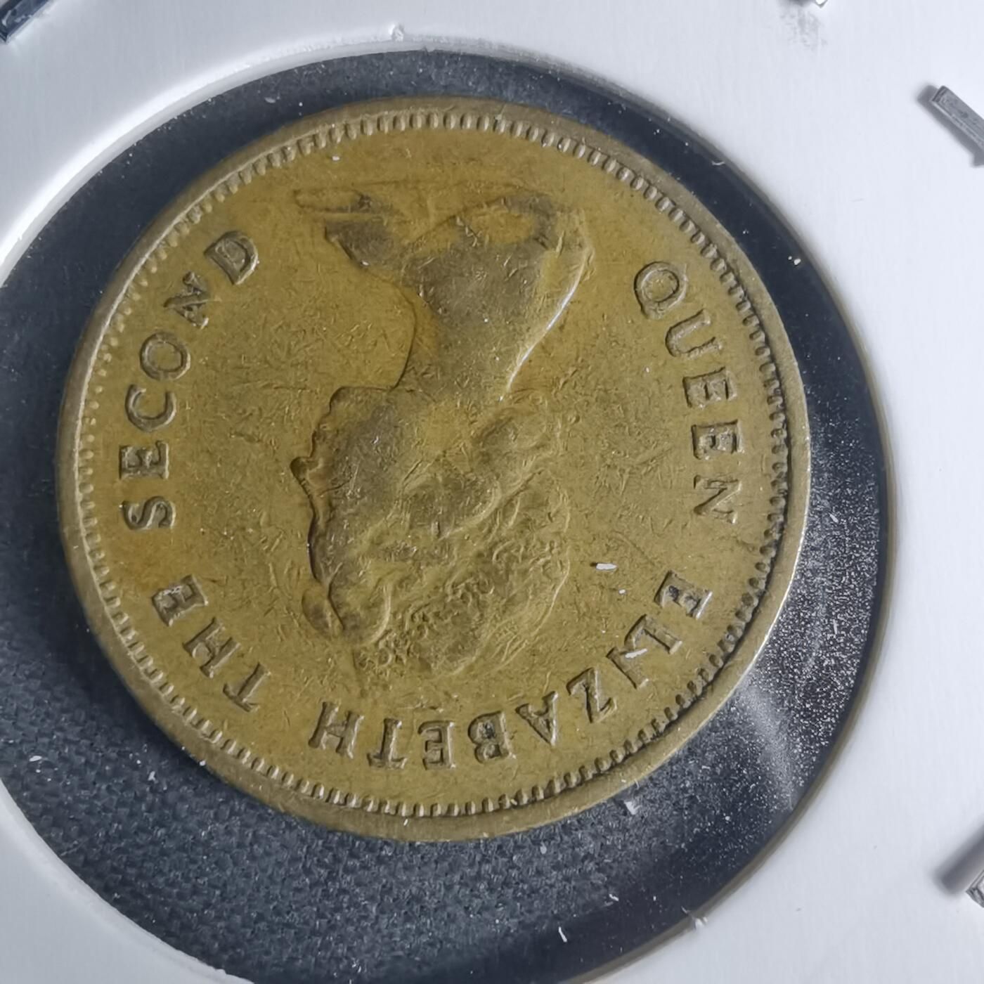 沼泽如烟--第942场