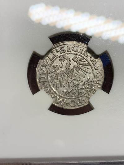 《竞宝斋》第449场 周日，周一，周二  3场连拍 （全场包邮，欢迎送拍） NGC AU58 波兰立陶宛联邦 1547年 1/2G 银币 打制一流 细节很美 骑士盾牌上的十字图案依然清晰可见 少见品种