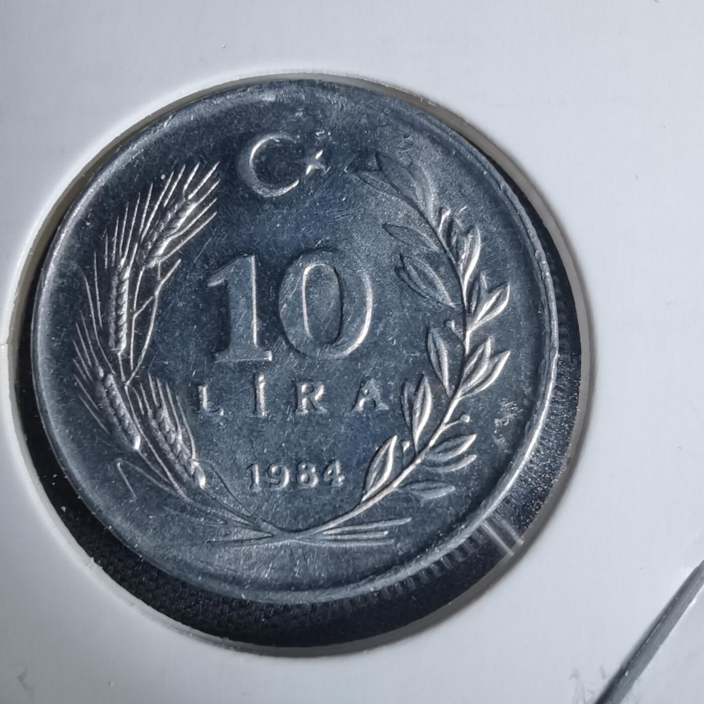 沼泽如烟--第940场