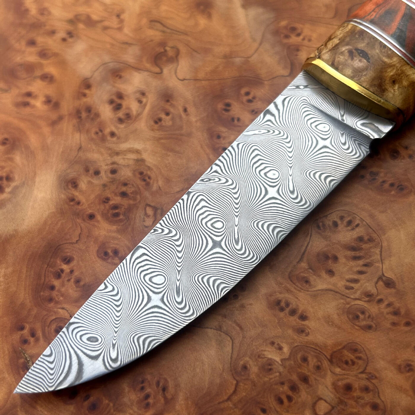 无芯大马士革钢小直,大玫瑰花纹,崖柏木手柄