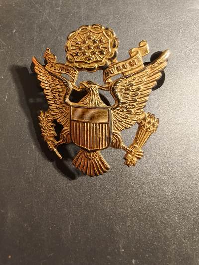 老王徽章第171期 - 美国陆军大檐帽帽徽    酸测试标