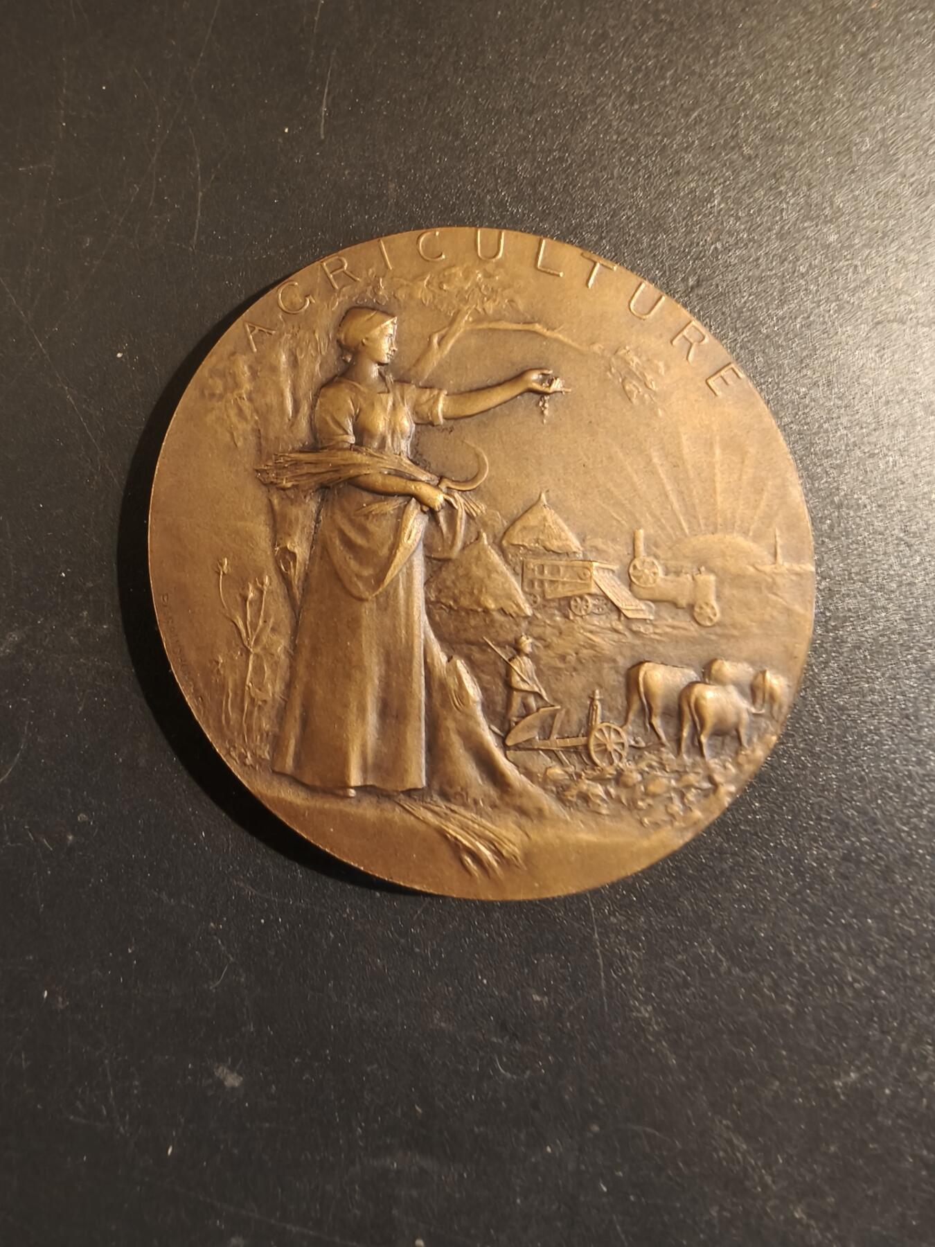 老王徽章第171期 法国萨瓦省圣朱利安昂热讷农业协会大铜章     原盒       大师P.Grandhomme作品     直径50mm     重量49.2g 