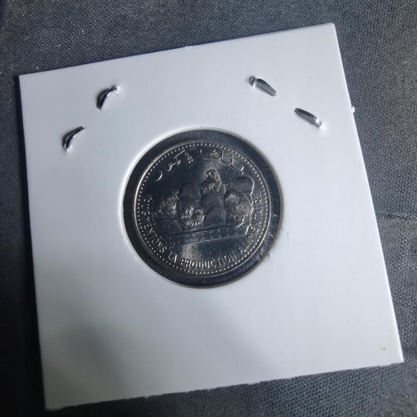 沼泽如烟--第940场