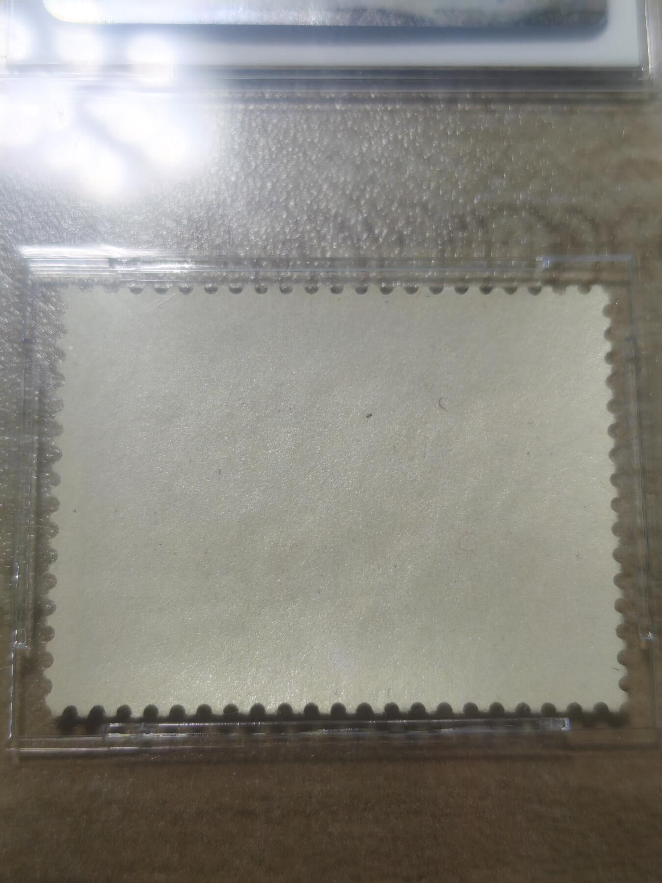 老纪特六珍 纪38金鱼12-8