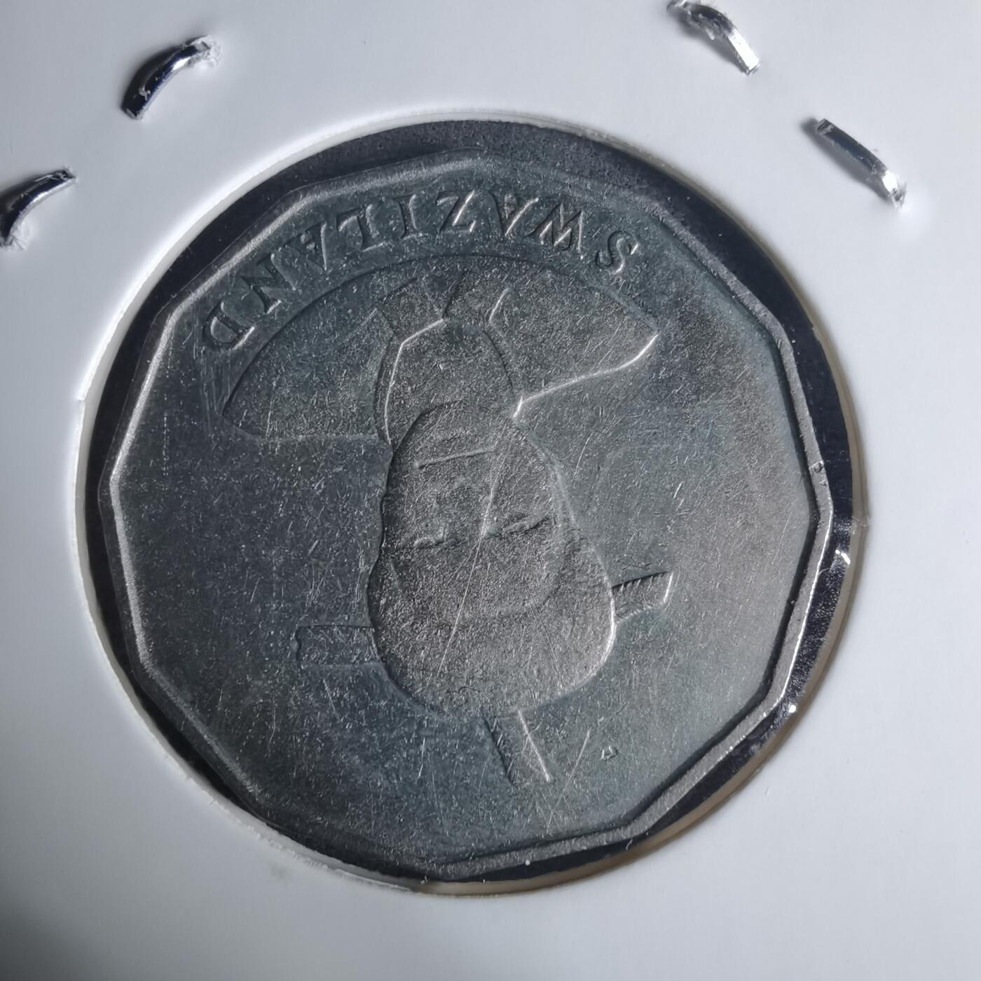 沼泽如烟--第940场