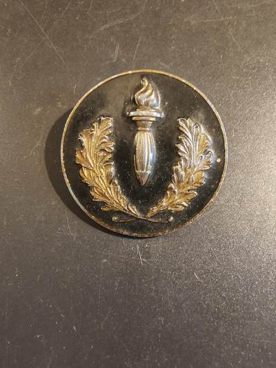 老王徽章第171期 - 法国国家警察共和国安全连证章