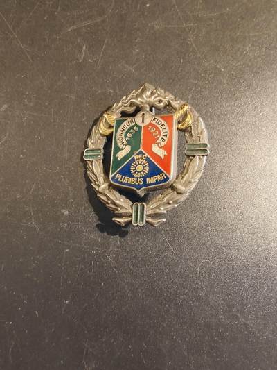 老王徽章第171期 - 法国外籍军团第1骑兵团证章