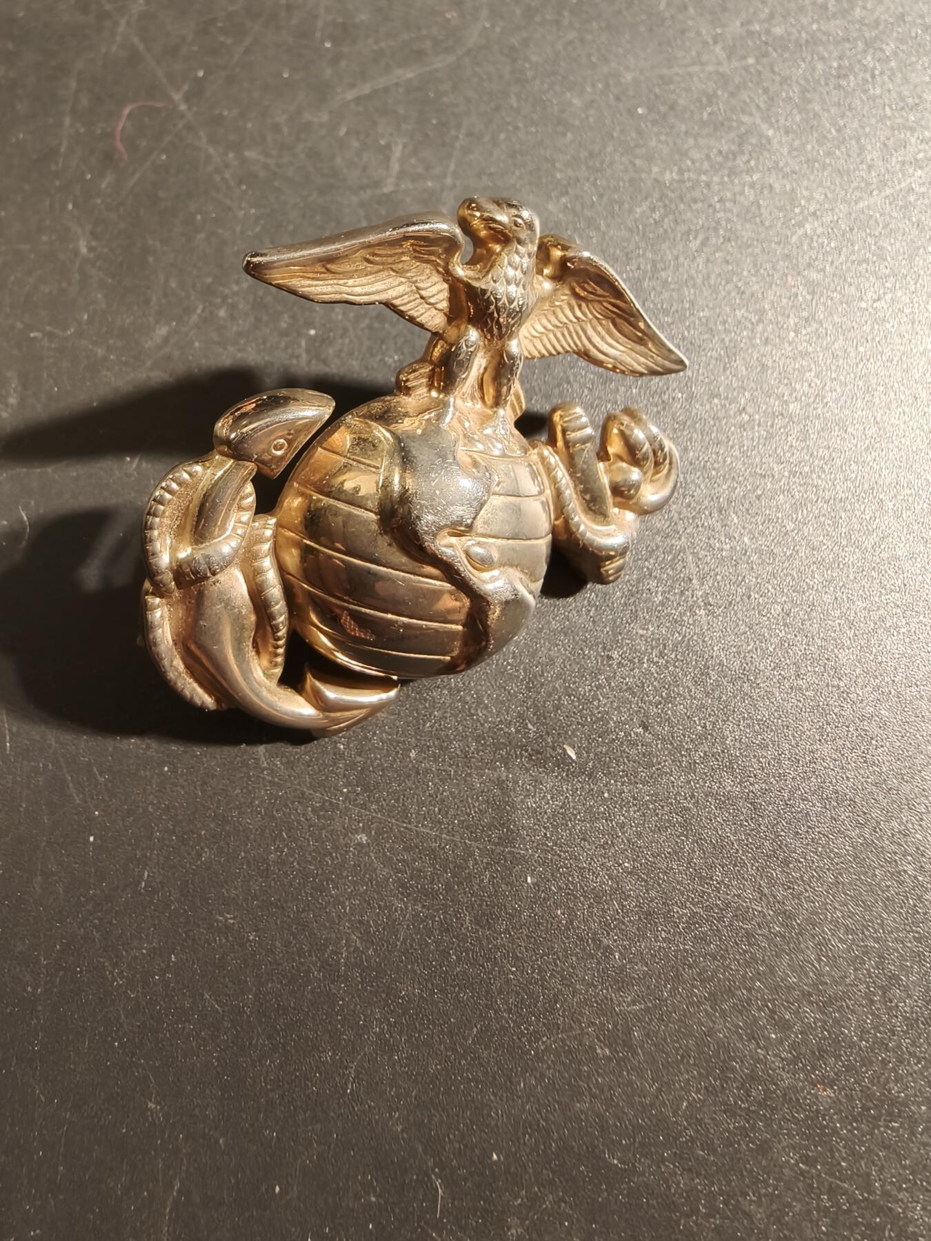 老王徽章第171期