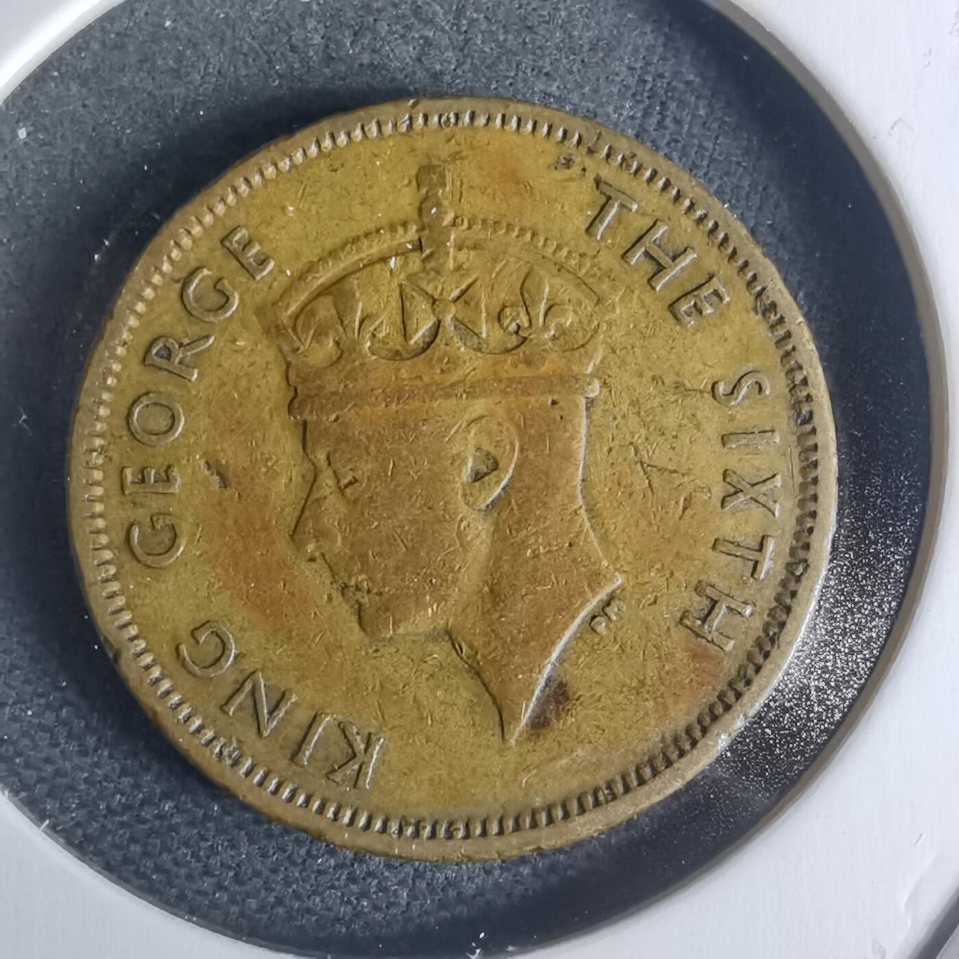 沼泽如烟--第942场