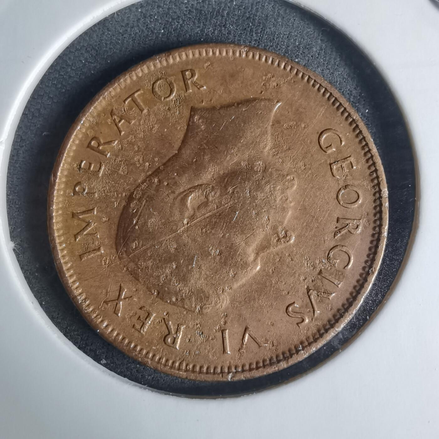 沼泽如烟--第940场