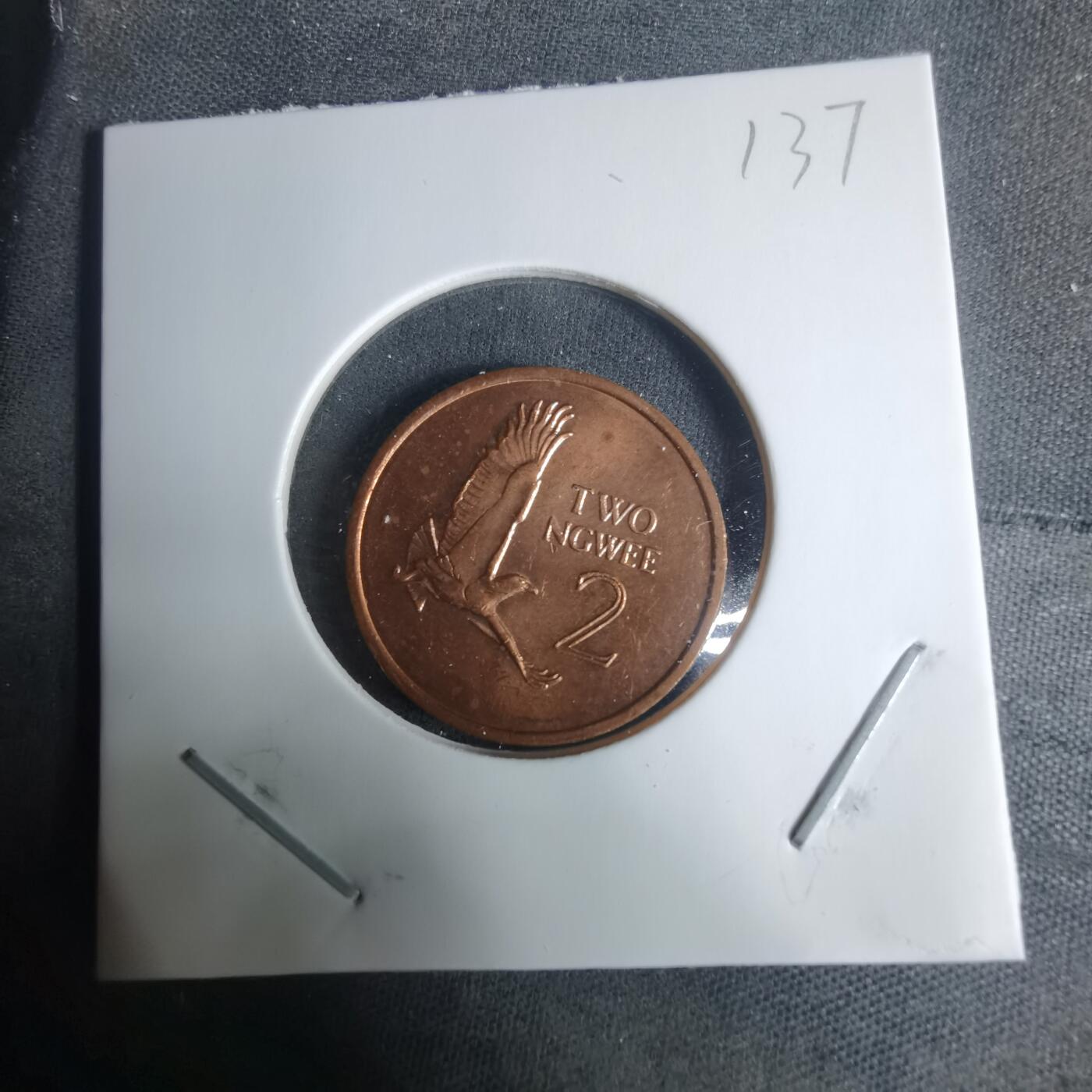 沼泽如烟--第940场