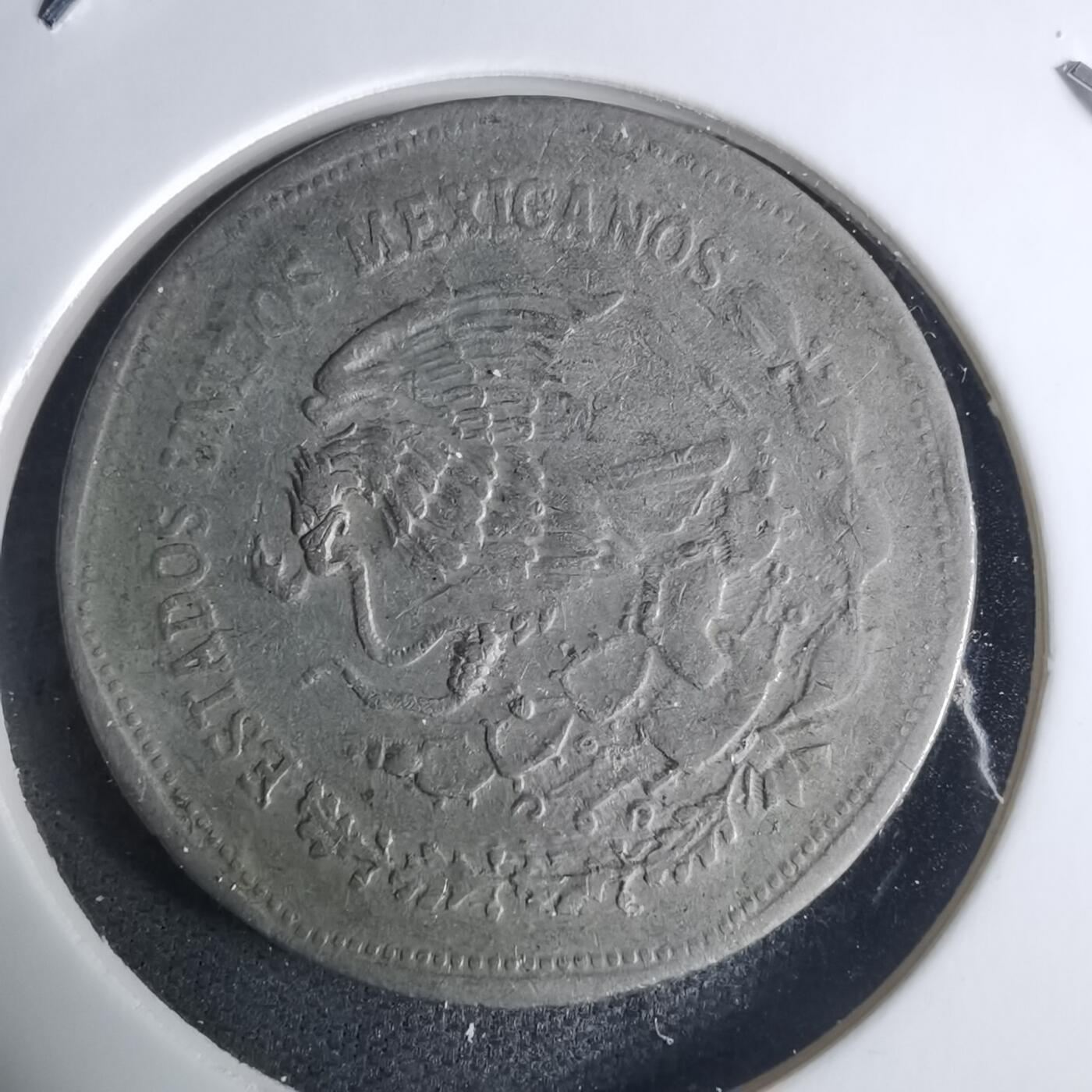 沼泽如烟--第940场