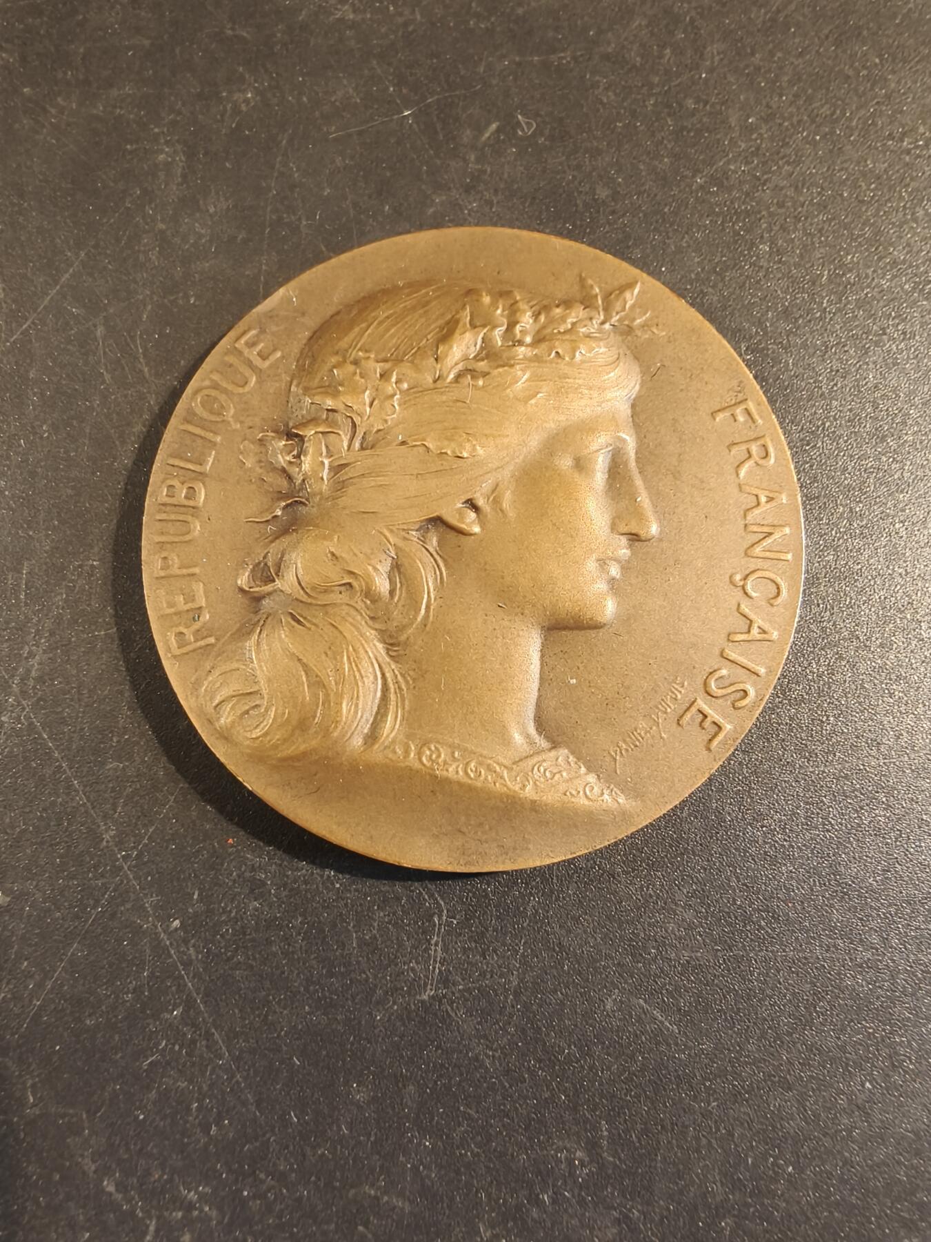 老王徽章第171期 法国参议员赠大铜章    亨利杜布瓦作品     直径46mm     重量46.2g