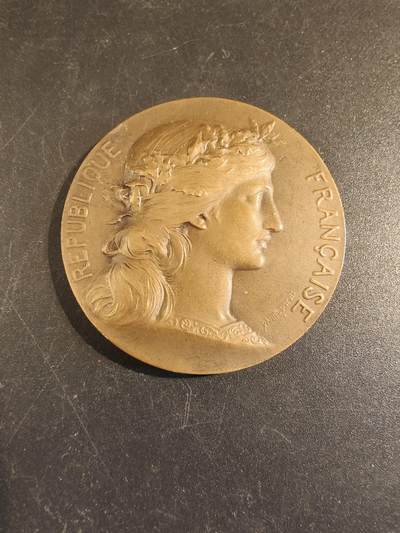 老王徽章第171期 - 法国参议员赠大铜章    亨利杜布瓦作品     直径46mm     重量46.2g