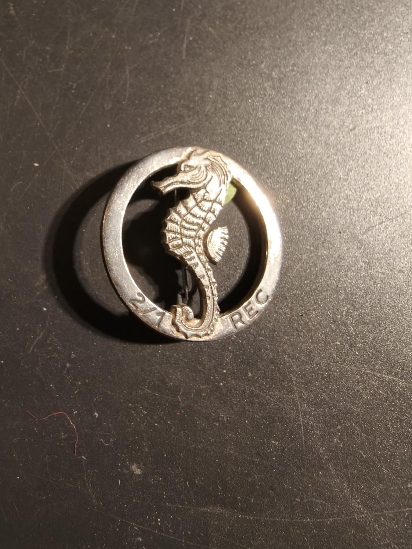 老王徽章第171期