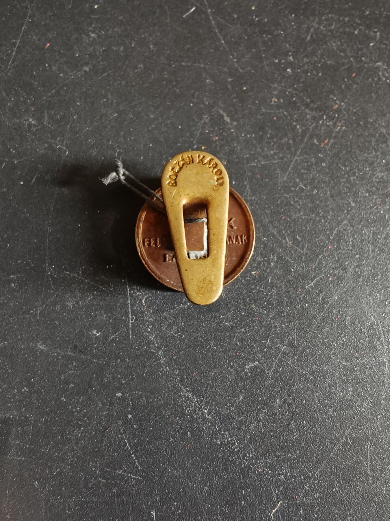 老王徽章第171期