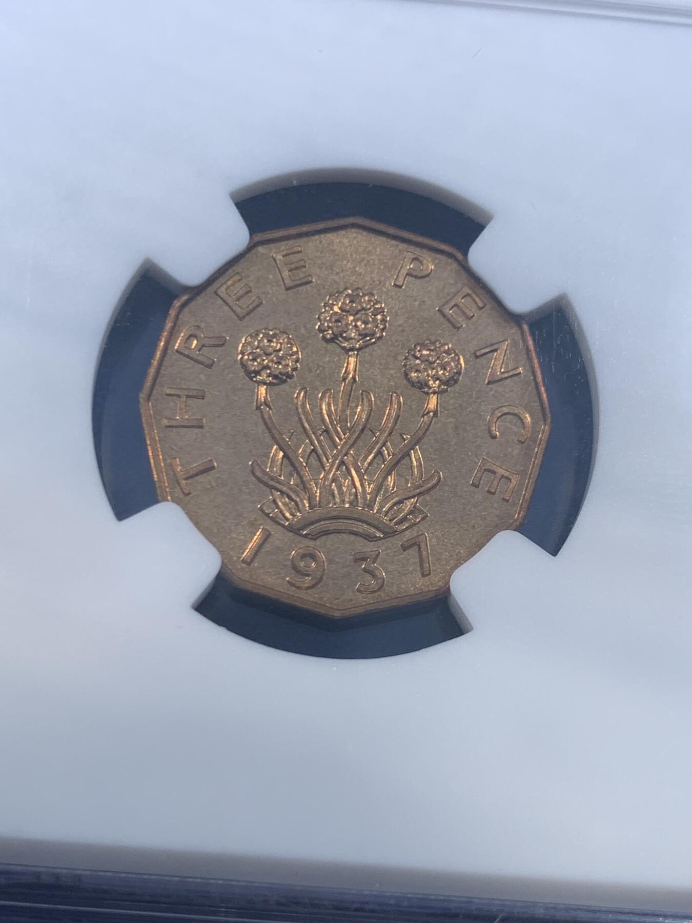 《竞宝斋》第449场 周日，周一，周二  3场连拍 （全场包邮，欢迎送拍）