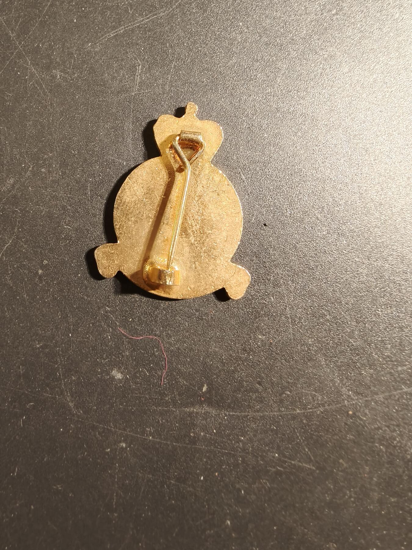 老王徽章第171期 英国皇家空军第14中队证章