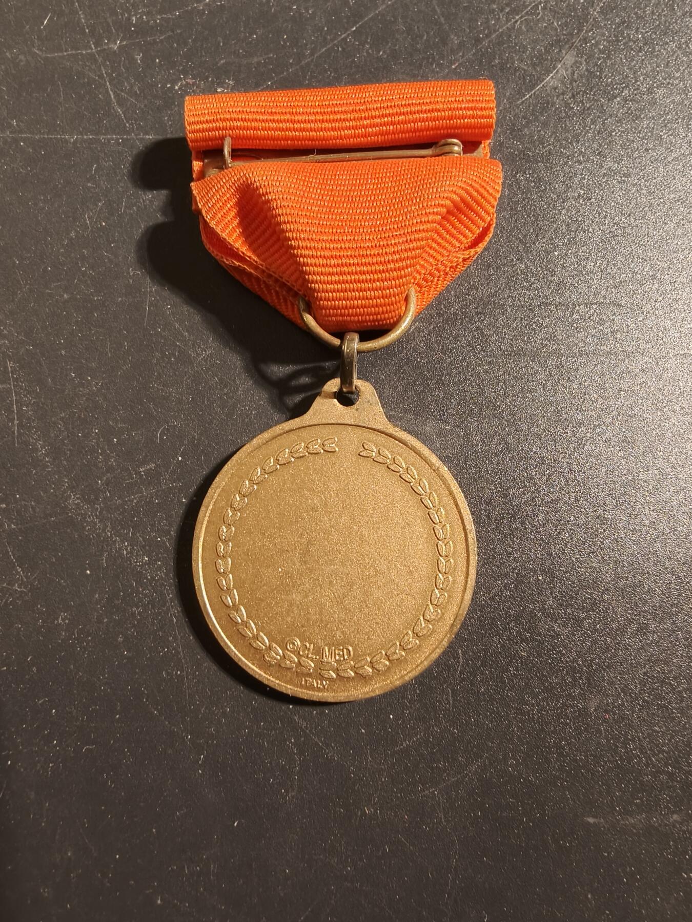 老王徽章第171期