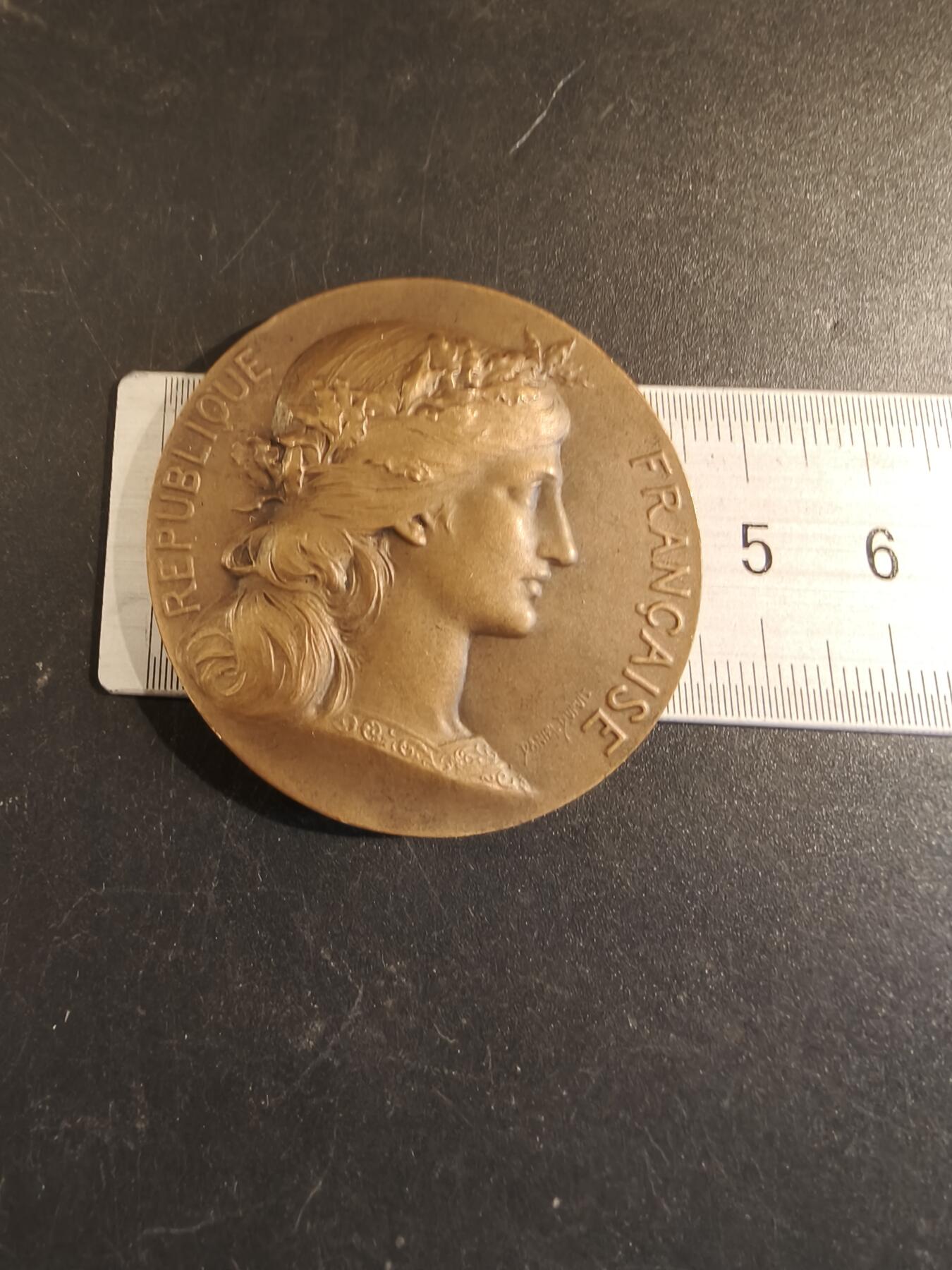 老王徽章第171期 法国参议员赠大铜章    亨利杜布瓦作品     直径46mm     重量46.2g