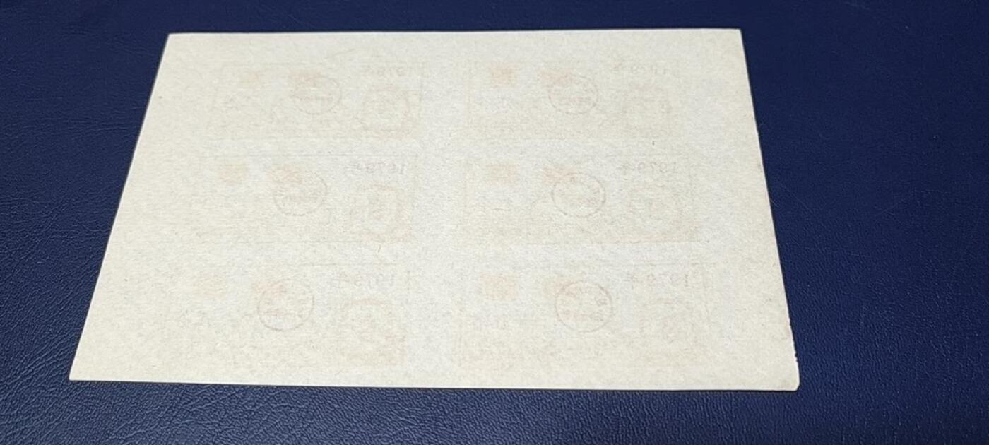 票证拍场，都是整版或者联票 四会县肉票，1979年，6联