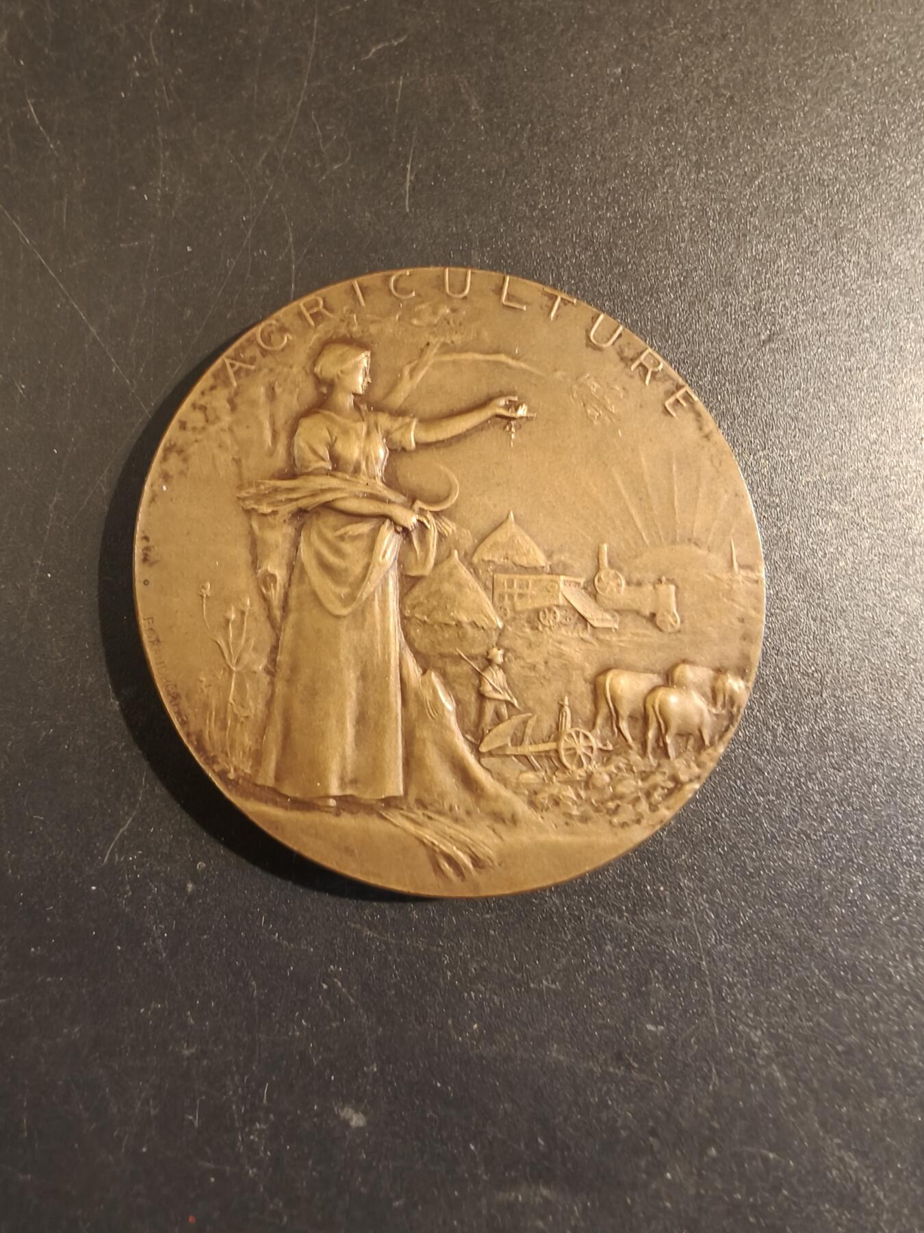 老王徽章第171期 法国萨瓦省圣朱利安昂热讷农业协会大铜章     原盒       大师P.Grandhomme作品     直径50mm     重量57g