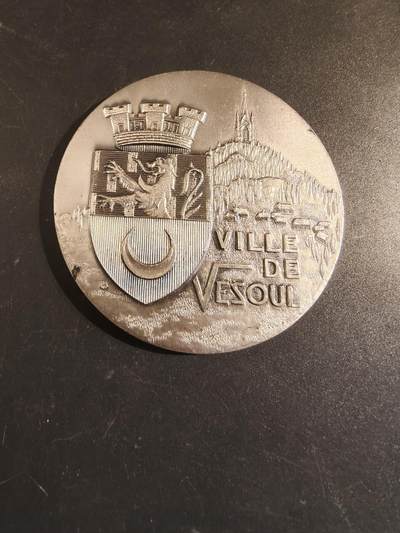老王徽章第171期 - 法国城市维苏尔镀银大铜章     直径68mm     重量140g