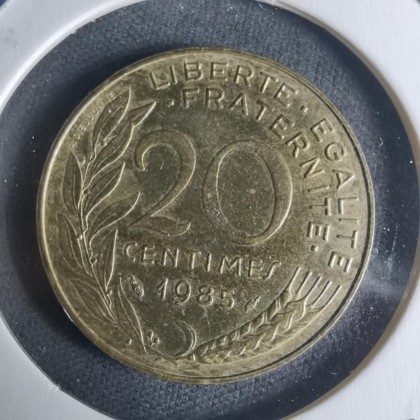 沼泽如烟--第942场