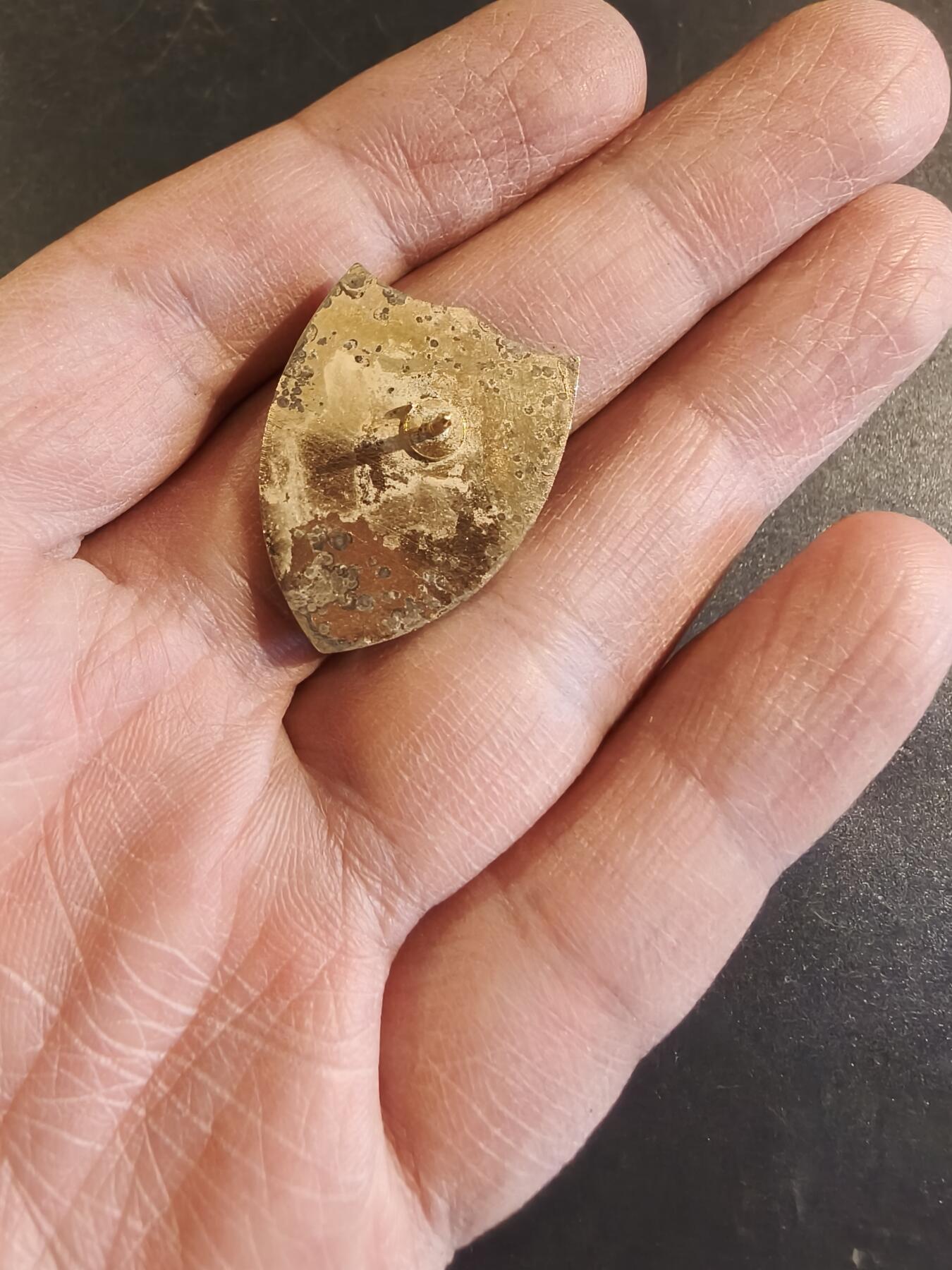 老王徽章第171期