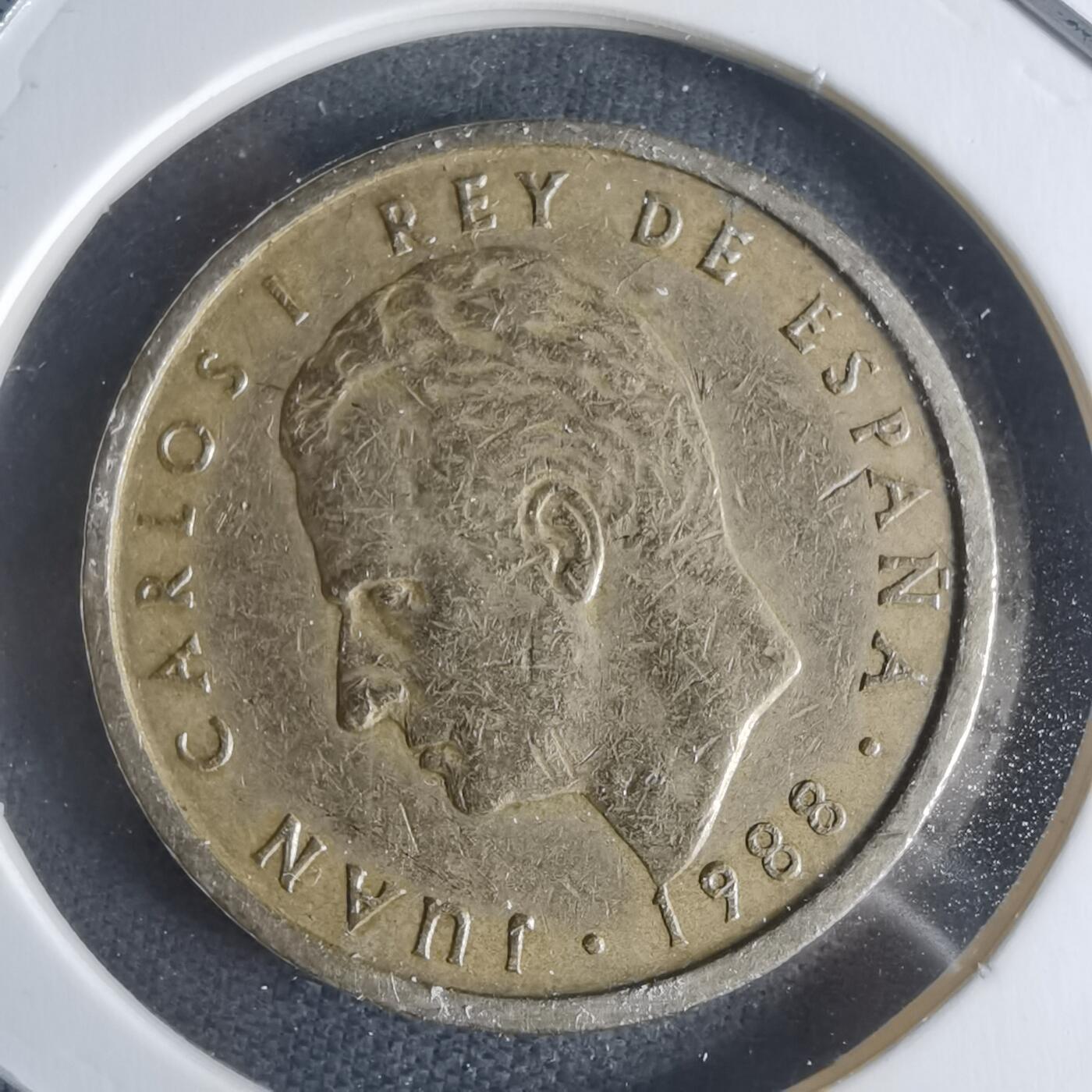 沼泽如烟--第942场