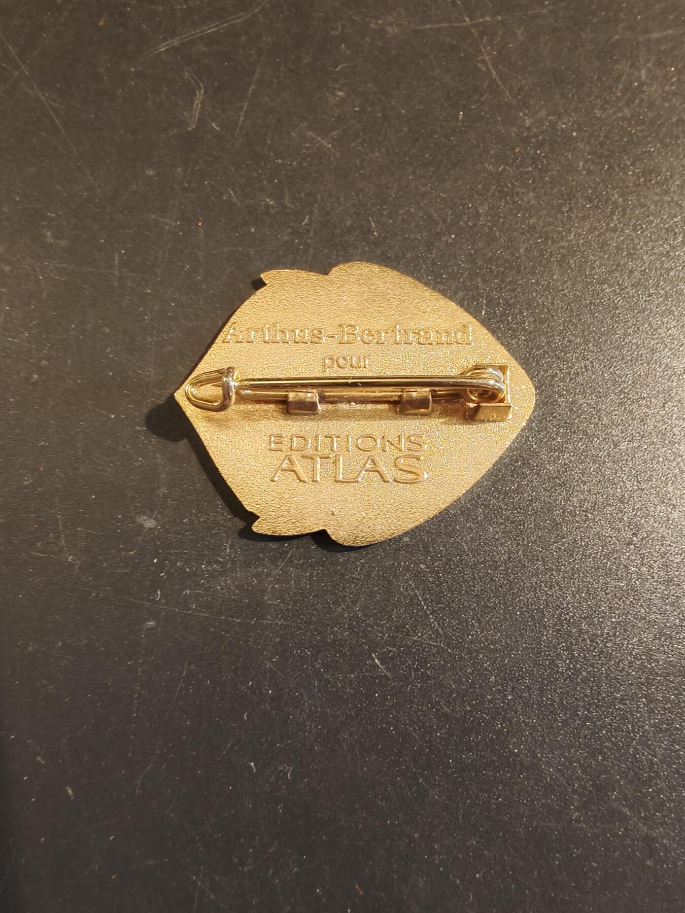 老王徽章第171期 法国乍得行进团证章