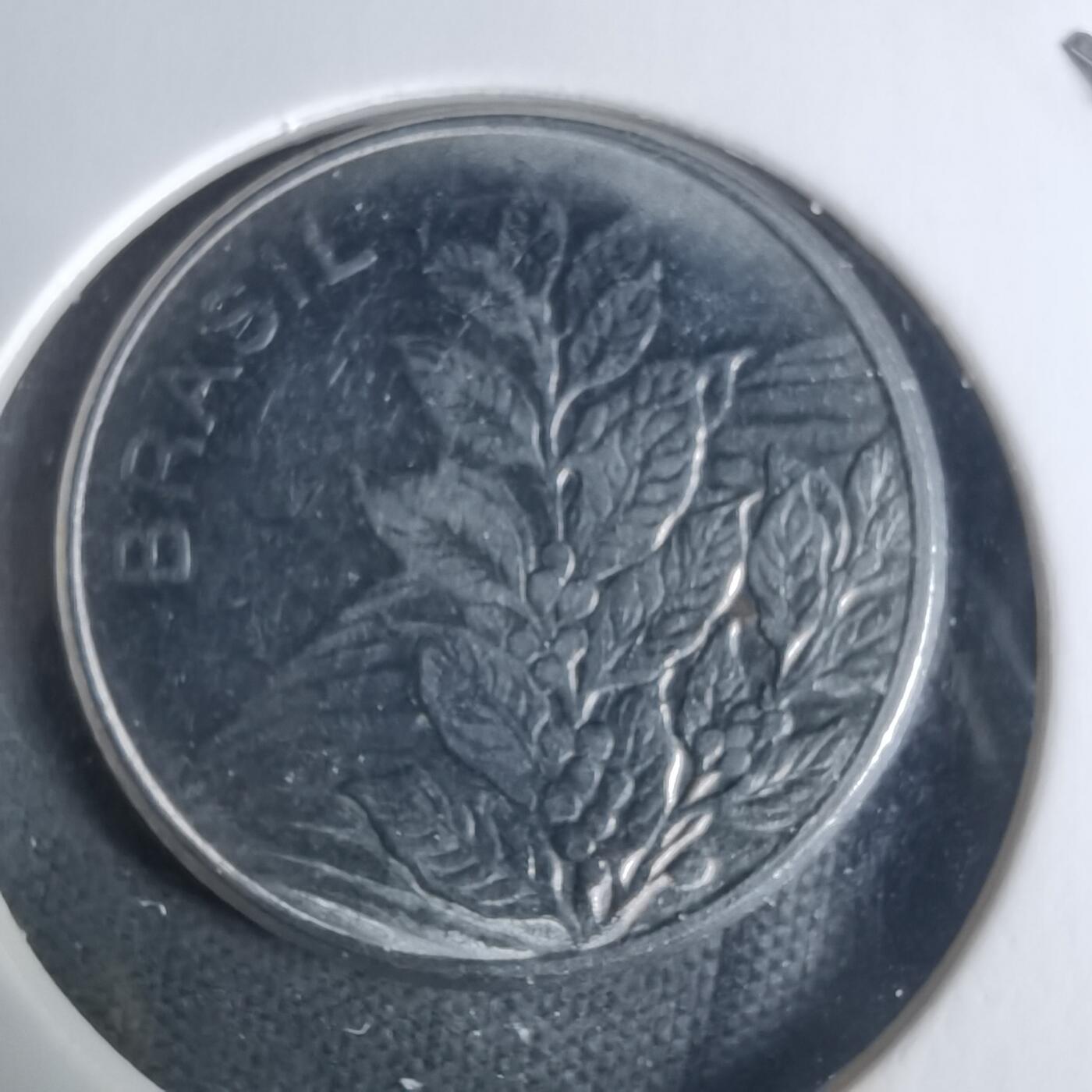 沼泽如烟--第940场