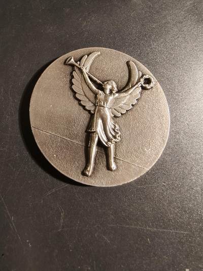 老王徽章第171期 - 法国马恩河谷省一战老兵镀银大铜章     直径50mm     重量55g